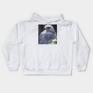 sli grey harris Kids Hoodie